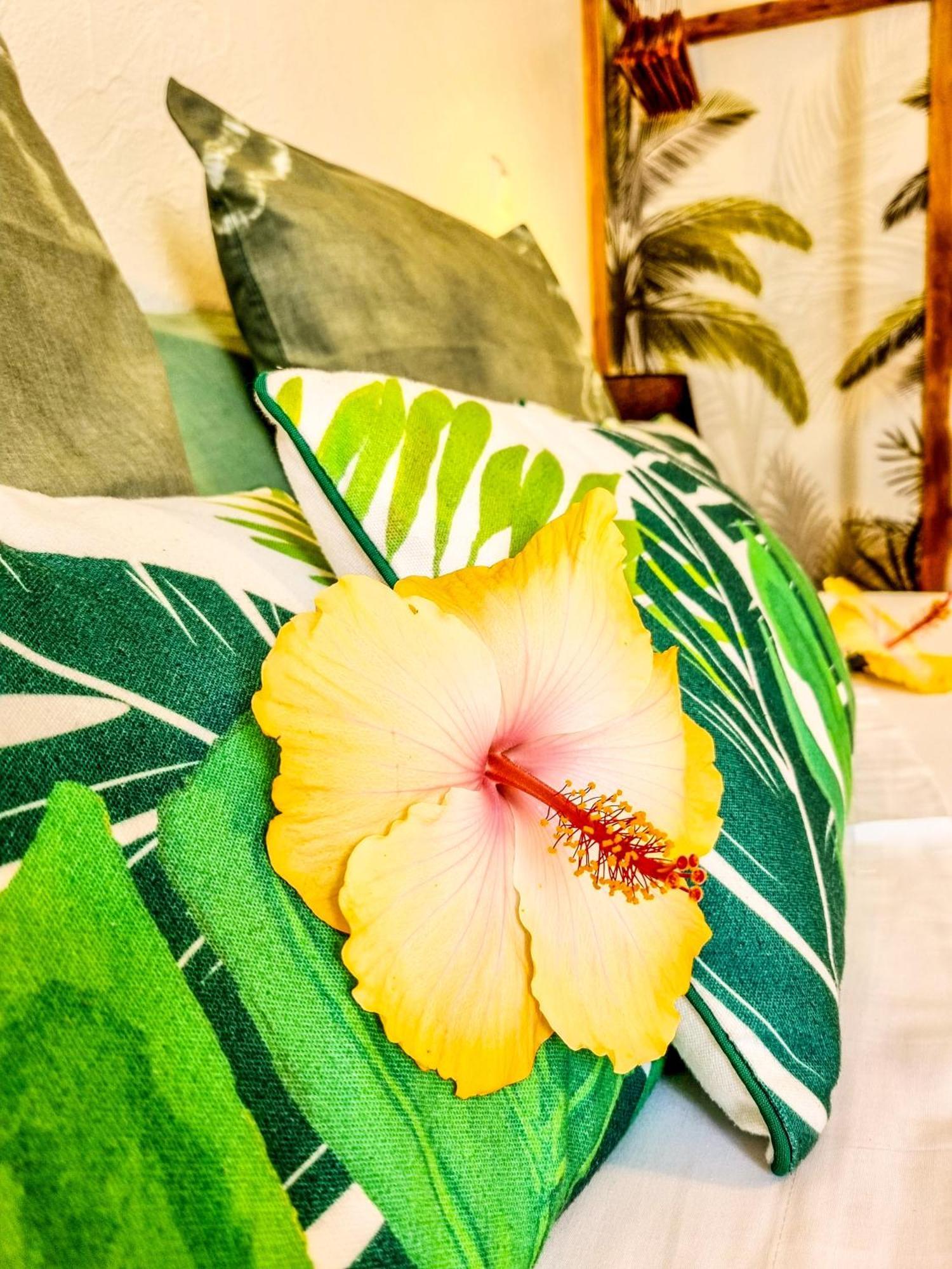 Maison D'Hotes Villa Des Mascareignes Petite Île 외부 사진